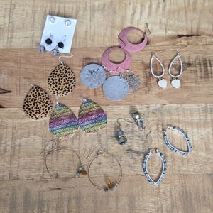 Assorted Fashion Earrings  Multicolor Set Of 10